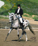Appaloosa sporthorse Bimbo and his owner, rider and trainer Shareen Percell