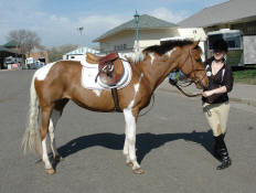 Pinto Pony-Chiquita Cloud Minnesota Horse Expo 